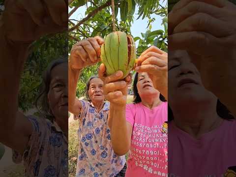 ลักกินมะม่วง😂 #shortvideo  #มะม่วง #ตลก #ฮาฮา #haha