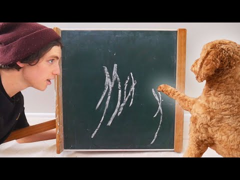 I taught my dog to write his name