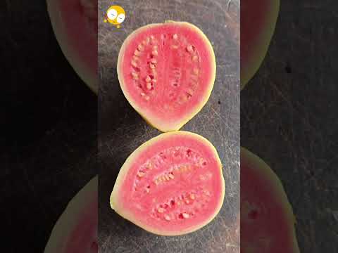 faça isso antes de comer goiaba #dicas #fruta #facavocemesmo
