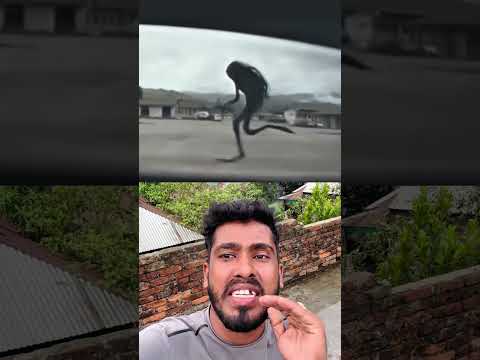 জ্বিন কিভাবে দৌরাচ্ছে দেখেন #foryou #funny #reels #reels  #viralvideo  #video