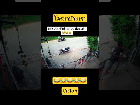โอ้ยเก่งแต่ในรั้วน้อ😂🐕‼️ #สุนัขน่ารัก #สุนัขแสนรู้ #funny #animals #pet
