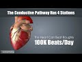 Cardiovascular System Concepts