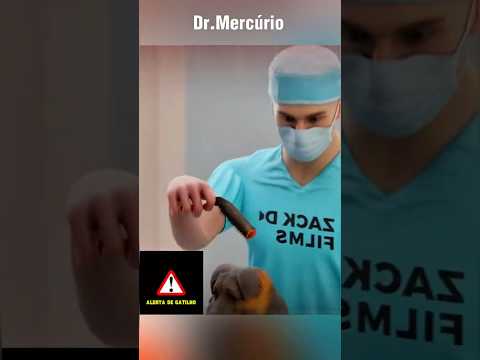 Não corte o rabo do seu cachorro, ou isso irá acontecer... #curioso #bichos #animais