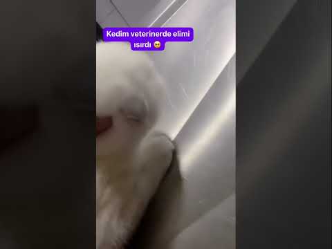 Elimi ısırdı acıdan🥺🥺