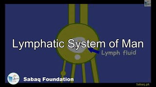 Lymphatic System of Man