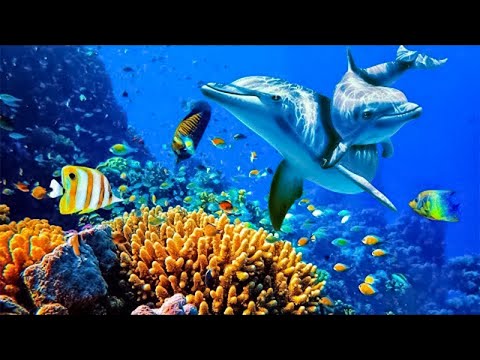 Relaxing Music to Relieve Stress, Anxiety and Depression • Mind, Body &#128044; Soothing music for nerves