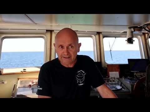 YouTube video thumbnail: The Crew on the Hunt for Greece's Illegal Octopus Traps