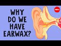 Understanding Earwax: History, Composition, and Care