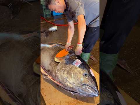 Super Big Tuna Cutting #food #seafood #tuna #taiwan