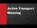 Active Transport in Biology
