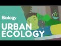 Urban Ecology Challenges and Concepts
