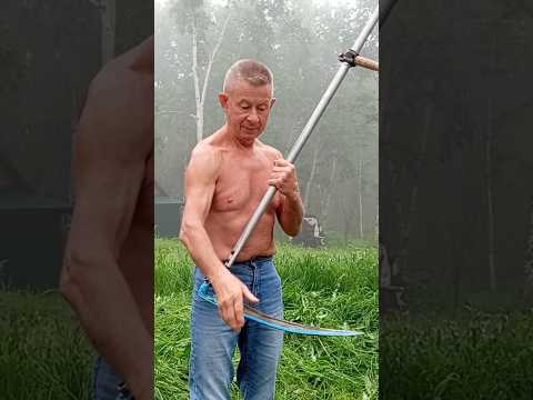 Правильная коса-залог успешной работы🔥 #позитив #здоровье