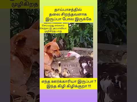 தாய்ப் பாசம்