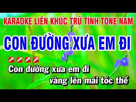 Karaoke Liên Khúc Trữ Tình Tone Nam Nhạc Sống Dễ Hát – Chỉ Có Bạn Bè Thôi | Hoài Phong Organ