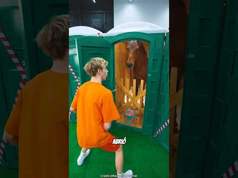 Ninguna puerta era adecuada para el baño 😱 #shortvideos #shorts