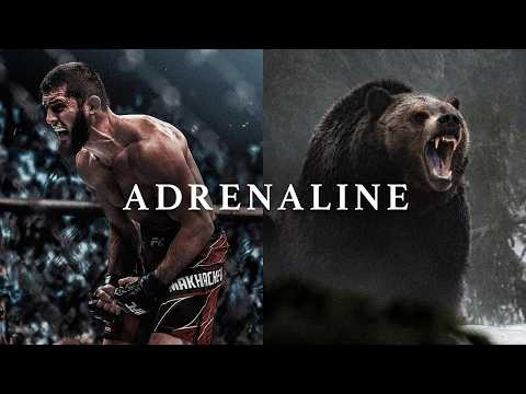 ADRENALINE 3.0 - The Most Powerful Motivational Speech Compilation