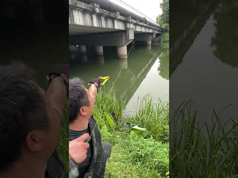 outdoor slingshot fishing#outdoors#fishing #fish
