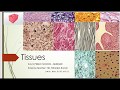 Plant and Animal Tissues Overview