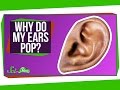 Understanding Ear Anatomy and Pressure Changes