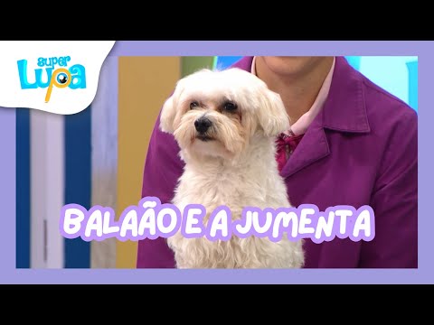 BALAÃO E A JUMENTA - SUPER LUPA