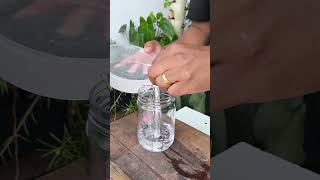As indústrias de velas odeiam este simples segredo de economia