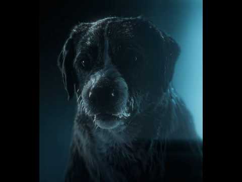 "A pack can have only ONE LEADER"- Buck Edit |  EMIN ft. JONY – Каmin (slowed) (TikTok remix)