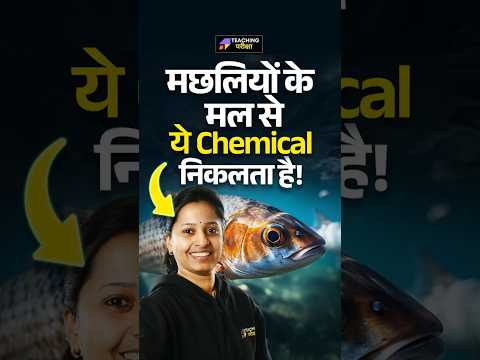 KVS 2025 EVS Master Series: 🥴जो मछली का कचरा था... 🐟 वही बन गया chemical का चमत्कार!💥🧪 #kvs #kvsevs