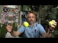 Conservation of Momentum Concepts