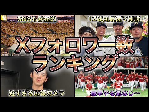 【プロ野球】貴重な情報源‼︎ 12球団Xフォロワー数ランキング