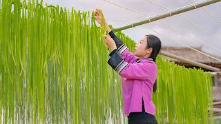 Vegetables taller than a person比人还高的菜，有人叫它莴笋，有人叫它贡菜【野小妹Wild Girl】