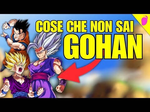 COSE CHE NON SAI SU GOHAN - Lorenzomango