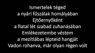 Taylor Swift - I Knew It, I Knew You (magyarul)