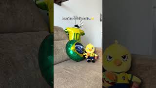 GATINHO COM BLUSA DA COPA