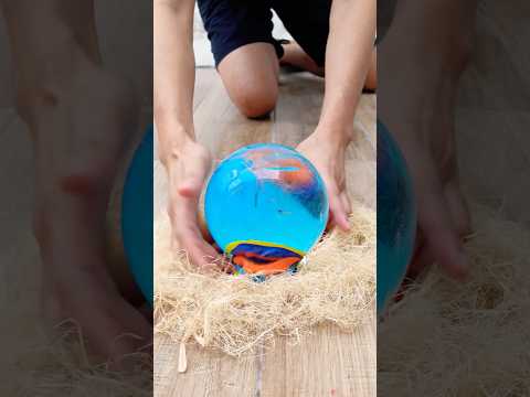 Ice Egg 🐣#gledaychannel #satisfying #diychanel #asmr #diy #experiment #diychannel #funny