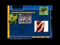 Ecological Organization and Interactions
