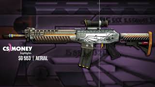 SG 553 Aerial Gameplay