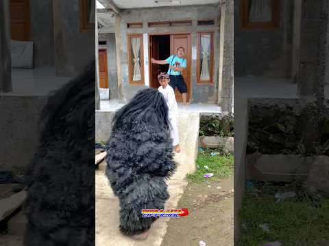 bocil sakti tolongin si dablo dari gangguan grandong