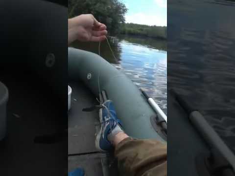 Он просто развернул лодку.) #рыбалка2023 #сомы #мощныесомы #fishing