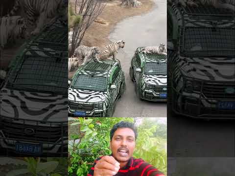 A kaMon ciriAkhana #funny #comedymove #comedyfilms #duet