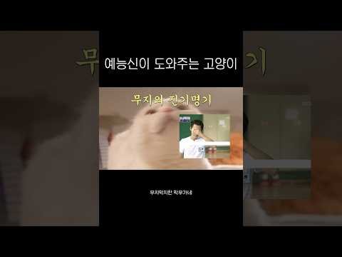 무지의 진기명기ㅋㅋㅋㅋㅋㅋㅋㅋㅋㅋㅋㅋㅋㅋㅋㅋㅋㅋㅋㅋㅋㅋ #고양이 #cat #고양이일상 #고양이영상 #유머 #웃긴영상 #반려동물