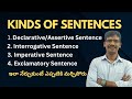 Types of Sentences and Their Functions