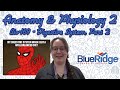 Digestive System Functions and Anatomy