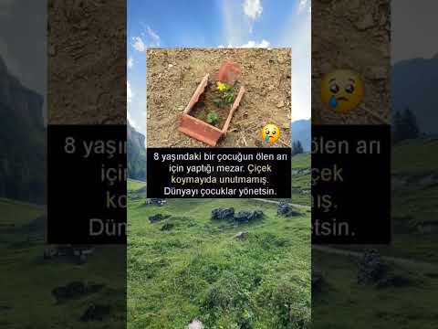 8 yaşındaki çocuk