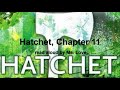 Exploring Chapter 11 of Hatchet by Gary Paulsen