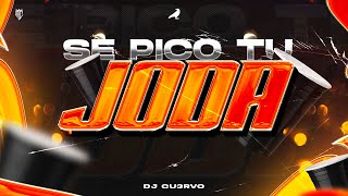 🏖️ SE PICO TU JODA 2 🔥 | ALTA JODA | LO MEJOR | FIESTA 2025 | - DJ Cu3rvo