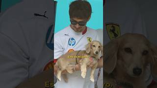 Charles Leclerc y su obsesión con su perrito