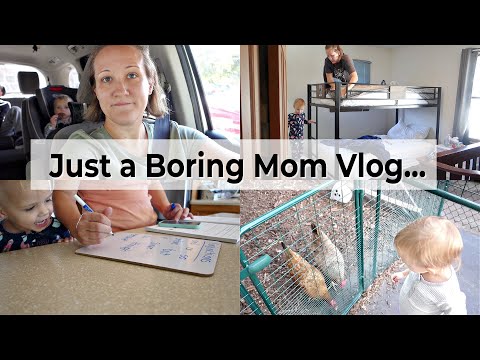 *NEW!* Homemaking, Homeschooling, Chickens, and Cavities // boring mom vlog // Mommy Etc