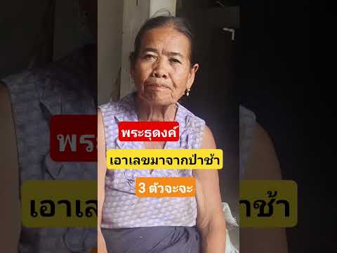 #พระธุดงค์นั่งสมาธิเอาเลขมาจากป่าช้า3 ตัวจังๆ#1/6/68