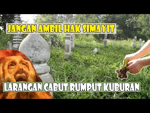 KASIHAN SIMAYIT! Inilah Larangan Mencabut Rumput Di Kuburan Saat Berziarah