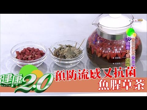 天然抗生素！預防流感又抗菌的救命「魚腥草」料理食譜 健康2.0